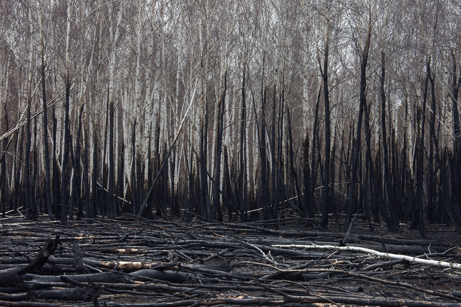 Incendi russia