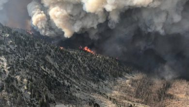 Photo of Incendi California, grandi NUVOLE di FUMO e FULMINI pericolosi: cosa succede