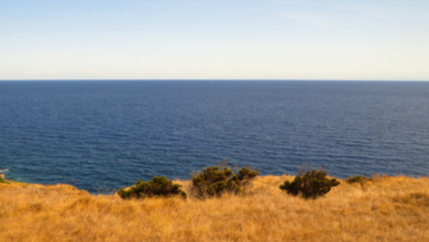 Photo of Tipi di circolazione atmosferica sull’Italia: l’analisi dell’estate 2021
