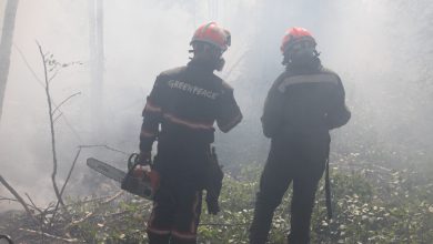 Photo of INCENDI RECORD in Russia: in fumo un’area GRANDE COME L’ITALIA