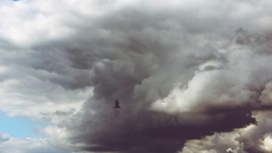 Photo of Circolazione di bassa pressione dalle BALEARI: ancora piogge sulle Isole e al Sud. La tendenza