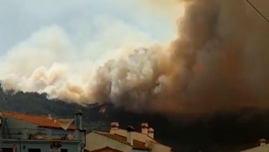 Photo of Mega INCENDIO nella Sierra Bermeja (Malaga): 1700 evacuati, è un rogo di “sesta generazione”