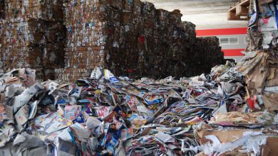 Photo of RICICLO, l’Italia ha superato gli OBIETTIVI UE per la CARTA : i dati