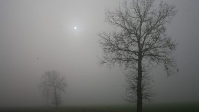 Photo of Previsioni meteo: tempo stabile, ma con nebbia e smog in aumento