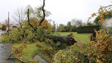 Photo of Tempesta AURORA, spazzata mezza EUROPA: venti intensi, feriti e vittime [VIDEO]
