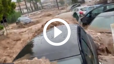 Photo of ALLUVIONE in SICILIA, almeno UNA VITTIMA. Tutti gli aggiornamenti [VIDEO]