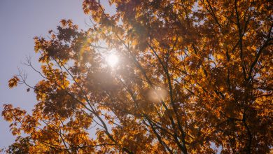 Photo of Previsioni meteo settembre: prima settimana tra maltempo e caldo anomalo!