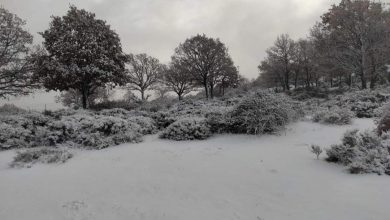 Photo of NEVE in Sardegna, anche a quote BASSE! Fiocchi anche sul VESUVIO [FOTO]