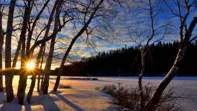 Photo of DICEMBRE al via con il FREDDO artico: i dettagli