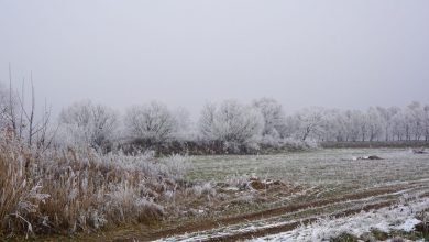 Photo of Il GELO conquista anche le CITTÀ! Ecco chi è andato SOTTO ZERO