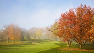Photo of Tregua dal MALTEMPO nel WEEKEND, ma quanto durerà? La tendenza meteo