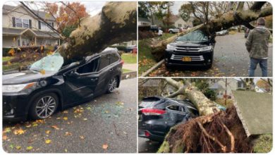 Photo of MALTEMPO ESTREMO a NEW YORK: grandine eccezionale e 4 TORNADO