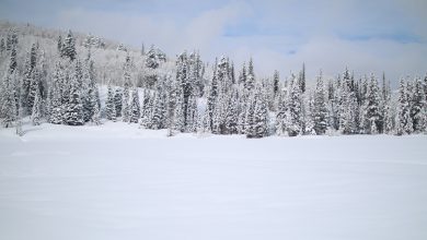 Photo of L’INVERNO alza la voce: NEVE abbondante e rischio NUBIFRAGI. Ecco dove