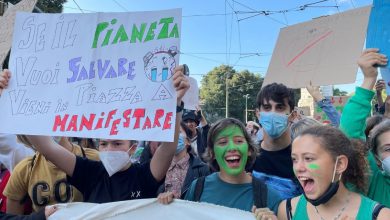 Photo of Dalla plastica alle emissioni, passando per i panda: 10 buone notizie dal 2021 (più cinque)