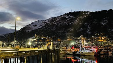 Photo of Insolito CALDO INVERNALE in Alaska: +19.4°C a Kodiak, è RECORD