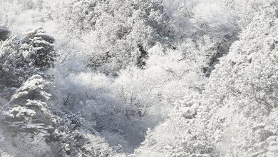 Photo of NEVE pesante in GIAPPONE: record storici e accumuli fino a DUE METRI