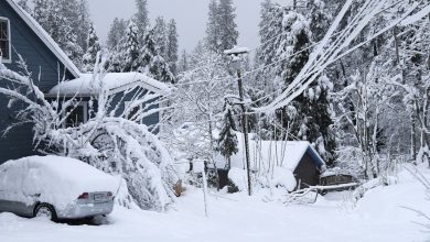 Photo of GELO nell’ovest degli Stati Uniti: freddo RECORD, Sierra Nevada impraticabile