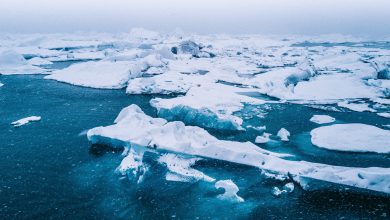 Photo of ARTICO, nuovo RECORD di temperatura: +38°C in Siberia nel giugno 2020