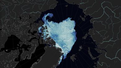 Photo of Più PIOGGIA che NEVE nell’Artico: potrebbe avvenire 30 anni prima del previsto