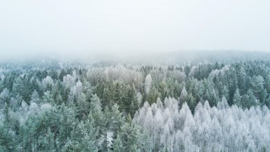 Photo of INVERNO AL VIA, è il giorno più corto dell’anno: le cose da sapere sul solstizio