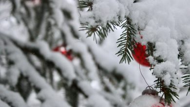 Photo of L’INVERNO alza la voce, NEVE e FREDDO a una settimana dal NATALE