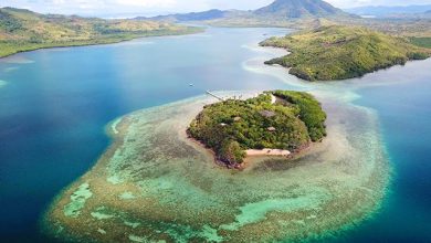 Photo of Le BARRIERE CORALLINE dell’Oceano Indiano occidentale a rischio collasso