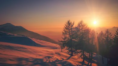 Photo of NOVITÀ IN VISTA per la settimana PRENATALIZIA: ecco cosa succede
