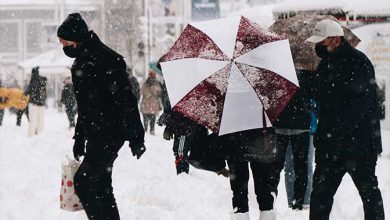Photo of Confermato l’arrivo di NEVE in PIANURA nella Festa dell’Immacolata: i dettagli
