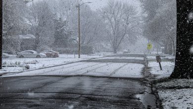 Photo of Dal 5 gennaio probabile CAMBIO di scenario: clima più FREDDO
