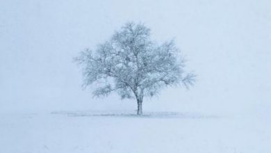 Photo of Inverno: 5 aspetti interessanti della stagione fredda