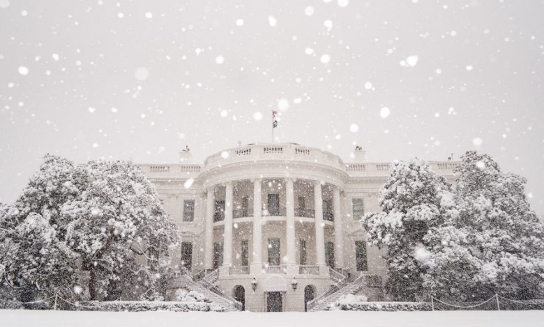 stati uniti gelo neve washington dc