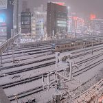 neve tokyo