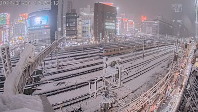 Photo of TOKYO imbiancata dalla prima NEVE della stagione: le immagini