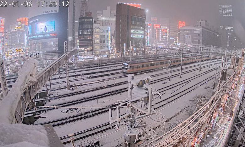 neve tokyo