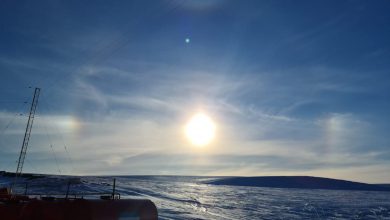 Photo of Caldo record al Polo Sud: oltre 10 gradi nell’Antartide argentina. I dati