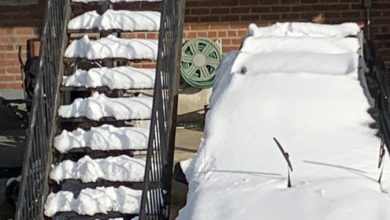 Photo of Stati Uniti, TEMPESTA INVERNALE nel nord-est: prima neve a NEW YORK