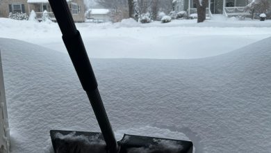 Photo of Stati Uniti orientali in tilt per NEVE e FORTI VENTI: vittime e molti disagi