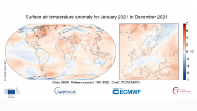 Photo of Il 2021 è stato uno degli anni più caldi mai registrati: prosegue l’aumento delle temperature