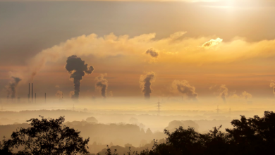 Photo of 2022 al via nel segno dello SMOG in diverse città: i dati