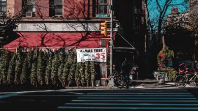 Photo of Crisi climatica, negli Stati Uniti inverni sempre più caldi