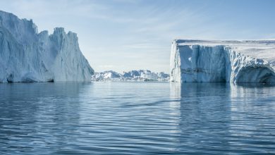 Photo of La PLASTICA inquina anche i POLI DELLA TERRA: rinvenute perfino particelle di PNEUMATICI