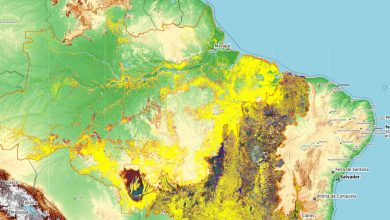 Photo of Deforestazione in Amazzonia, a gennaio 2022 distrutta un’area grande 2 volte e mezzo Milano