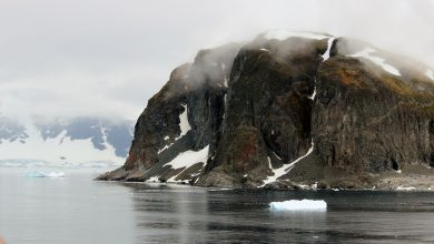 Photo of Antartide: le piante crescono più in fretta a causa della crisi climatica, lo rivela uno studio italiano