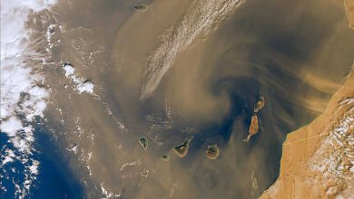 Photo of Sabbia del Sahara in arrivo: il pulviscolo anche sul Regno Unito