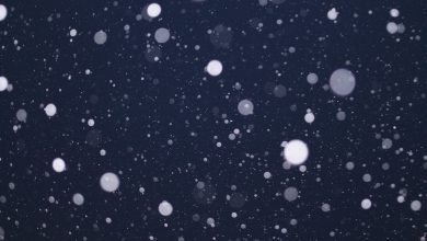 Photo of Neve in arrivo, tra il 14 e 15 febbraio fiocchi fino in Pianura: ecco dove