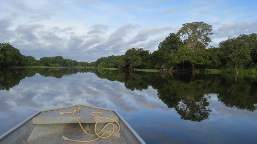 amazzonia deforestazione