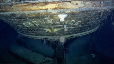 Photo of È stata ritrovata l’Endurance: era scomparsa tra i ghiacci più di un secolo fa