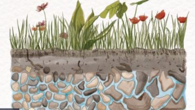 Photo of L’acqua che non vediamo può fare la differenza per affrontare la crisi idrica