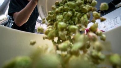 Photo of Spreco alimentare: giovani italiani consapevoli, ma c’è l’esigenza di più informazioni per ridurre gli sprechi