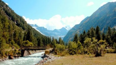Photo of Crisi climatica e foreste: come reagiscono i boschi delle nostre montagne?